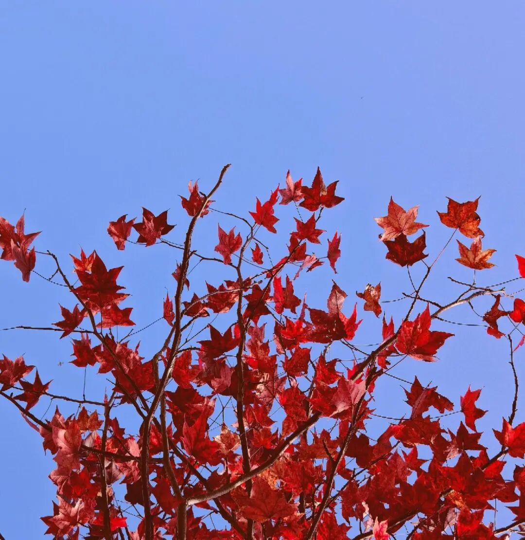 逃離城市計劃啟動→板橋響沖!
