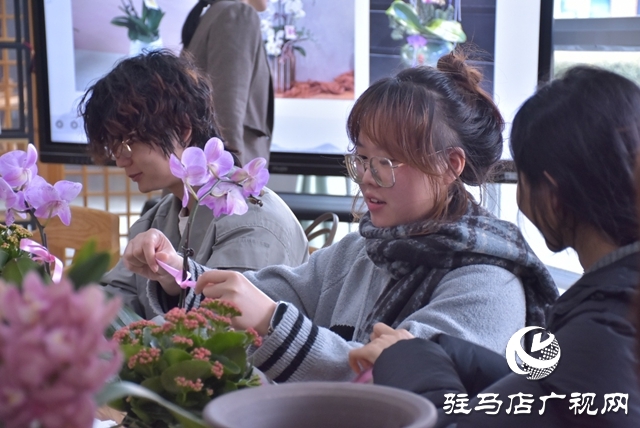 黃淮學(xué)院生物與食品工程學(xué)院開展蝴蝶蘭組盆體驗(yàn)活動(dòng)