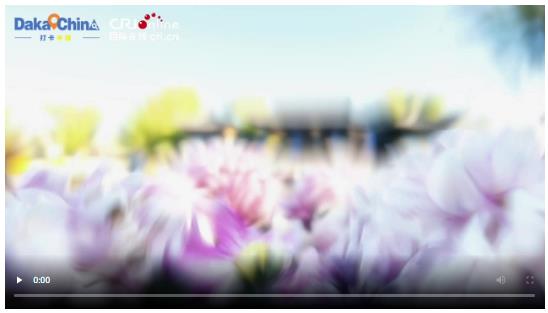 【2025打卡中國】在翰園碑林 拓印千年文化密碼