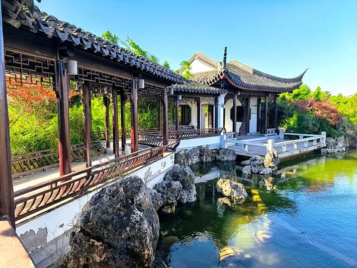 這個公園,初冬景致分外美