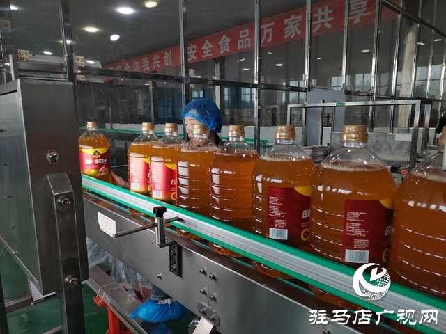 遂平縣：鉚足干勁趕進度 奮力沖刺四季度