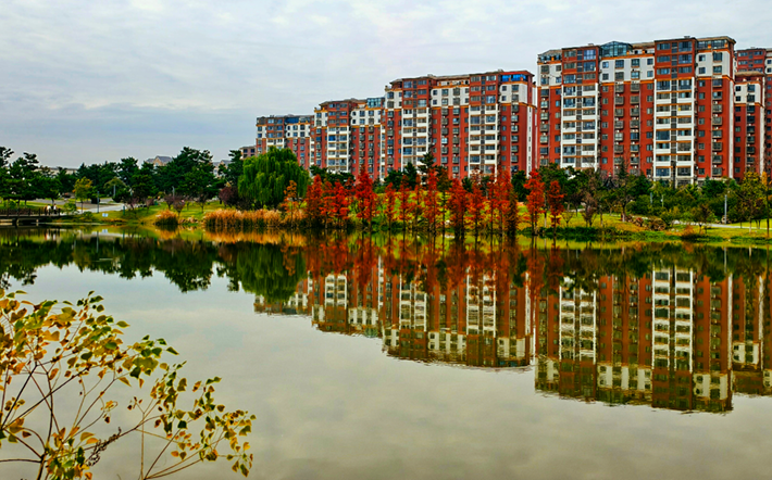 縣區(qū)動態(tài)|水杉披“紅裝” 晴光暖玉湖