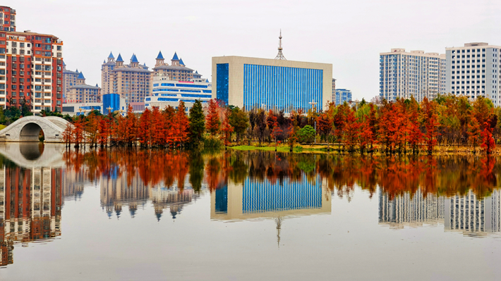 縣區(qū)動態(tài)|水杉披“紅裝” 晴光暖玉湖