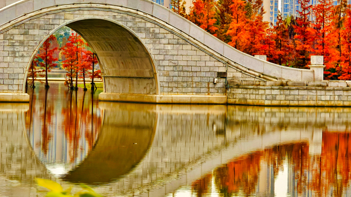 縣區(qū)動態(tài)|水杉披“紅裝” 晴光暖玉湖