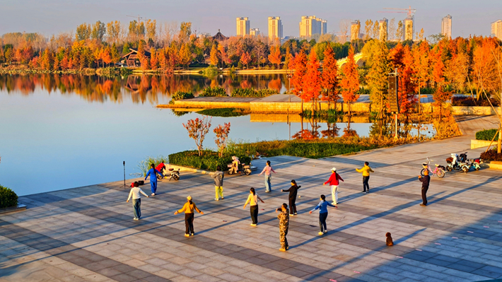 縣區(qū)動態(tài)|水杉披“紅裝” 晴光暖玉湖