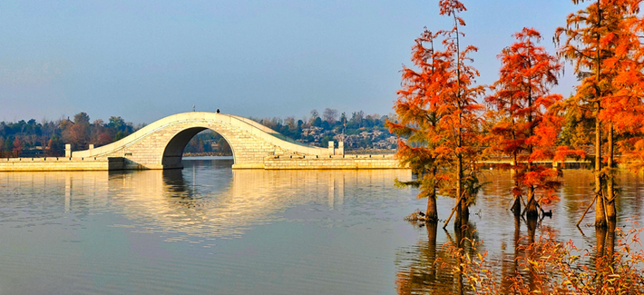 縣區(qū)動態(tài)|水杉披“紅裝” 晴光暖玉湖