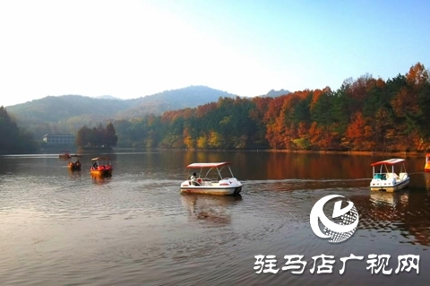 金頂山免門票迎農加會 推動&ldquo;農業+旅游&rdquo;跨界融合