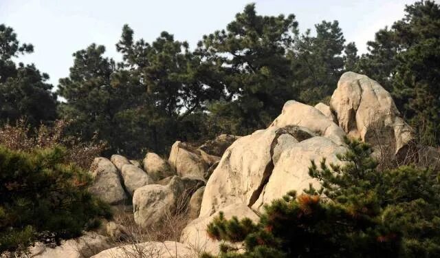 縣區動態 | 象河鄉有兩個寶藏游玩地，每一個都值得奔赴