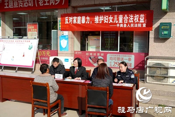 平輿縣人民法院：普法宣傳趕大集 共筑反家暴防線