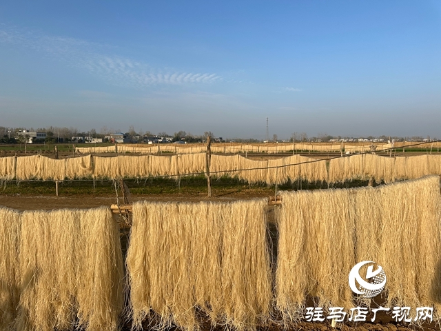 泌陽縣郭集鎮(zhèn)：小粉條串起致富鏈 繪就鄉(xiāng)村振興新圖景