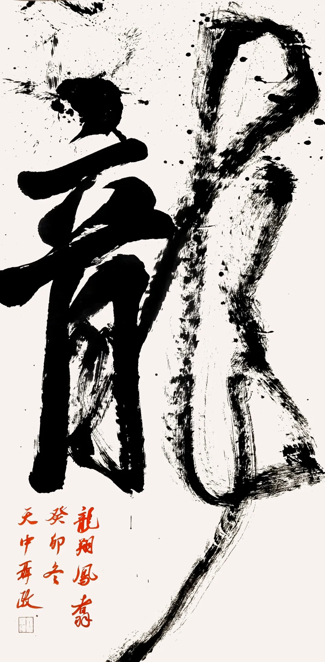 【展訊】“龍翔鳳翥——聶政書法作品展”開展,邀您共賞筆尖風雅!