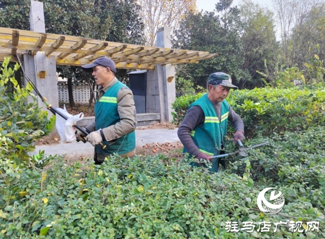 駐馬店：園林精心養護迎盛會 滿城綠意笑納八方客
