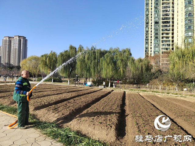 駐馬店：園林精心養護迎盛會 滿城綠意笑納八方客
