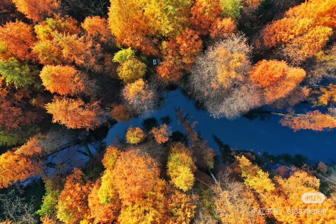 冬日信陽,獨具魅力!