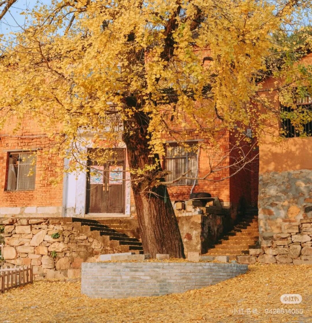 冬日信陽,獨具魅力!