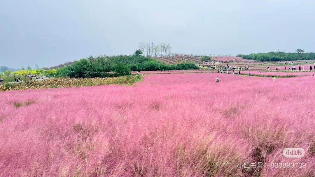 冬日信陽,獨具魅力!