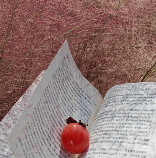 冬日信陽,獨具魅力!