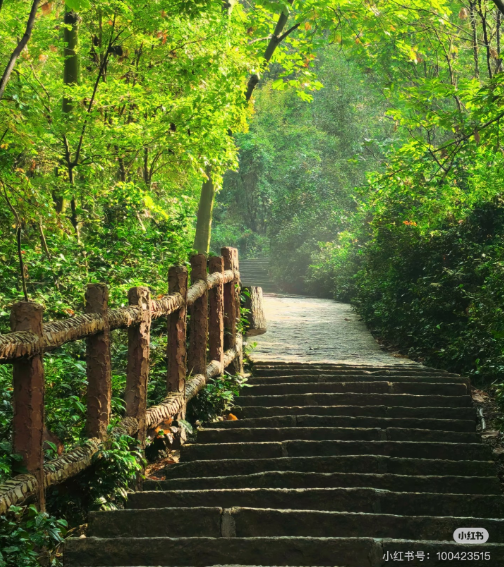 冬日信陽,獨具魅力!