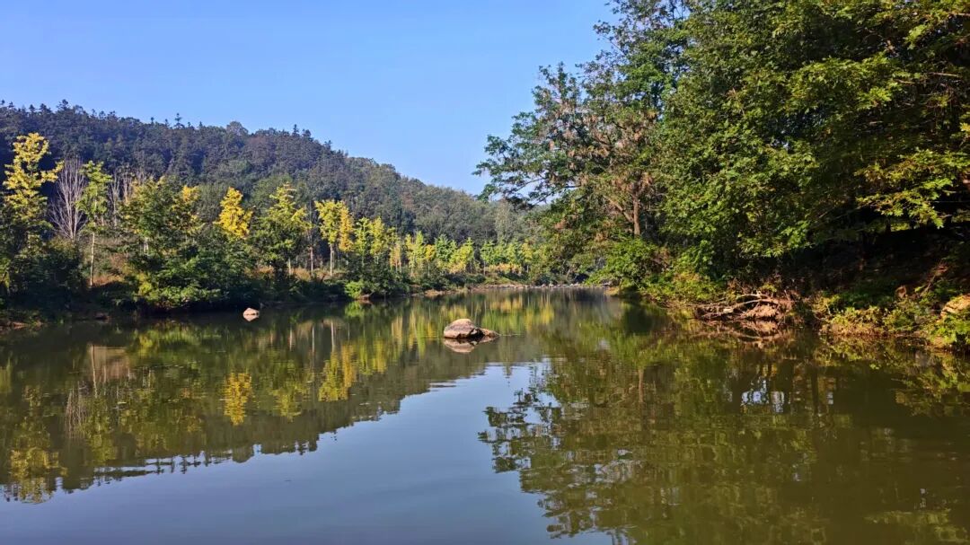 冬日信陽,獨具魅力!