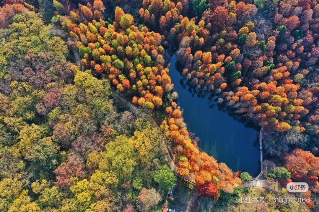 冬日信陽,獨具魅力!