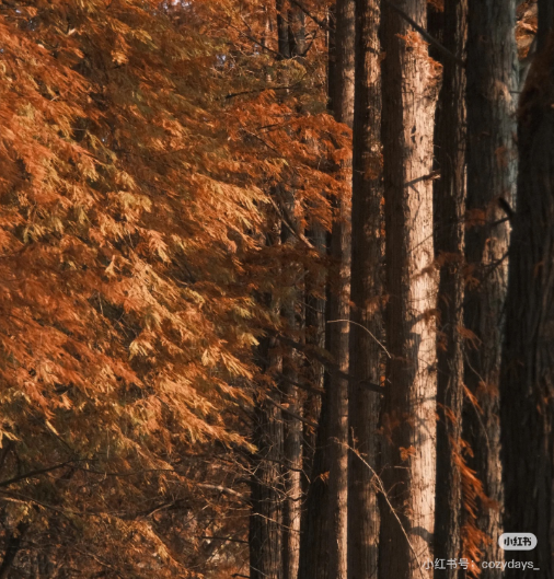 冬日信陽,獨具魅力!