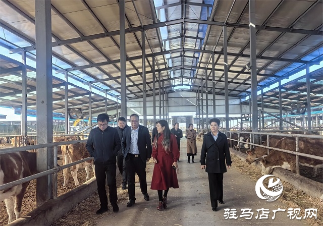 金融助力譜新篇 深耕天中再啟航——工行駐馬店分行“十四五”期間服務地方經濟社會發展綜述