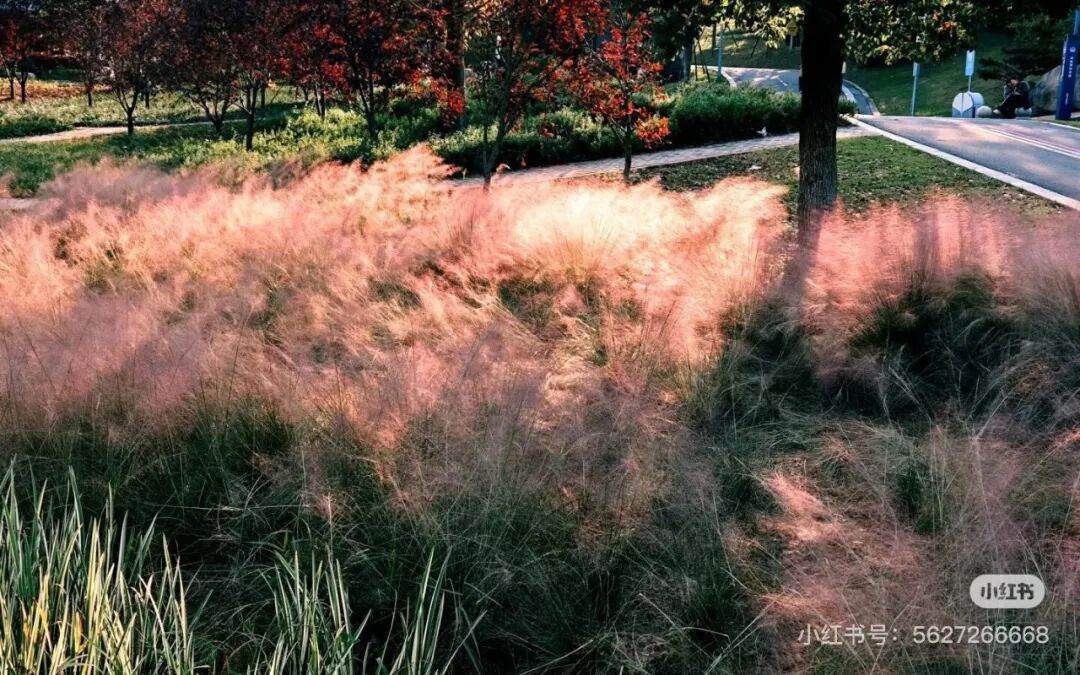 冬日信陽,獨具魅力!