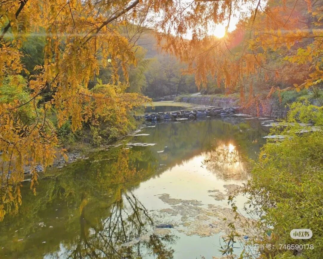 冬日信陽,獨具魅力!