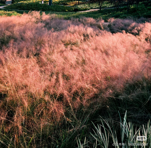 冬日信陽,獨具魅力!