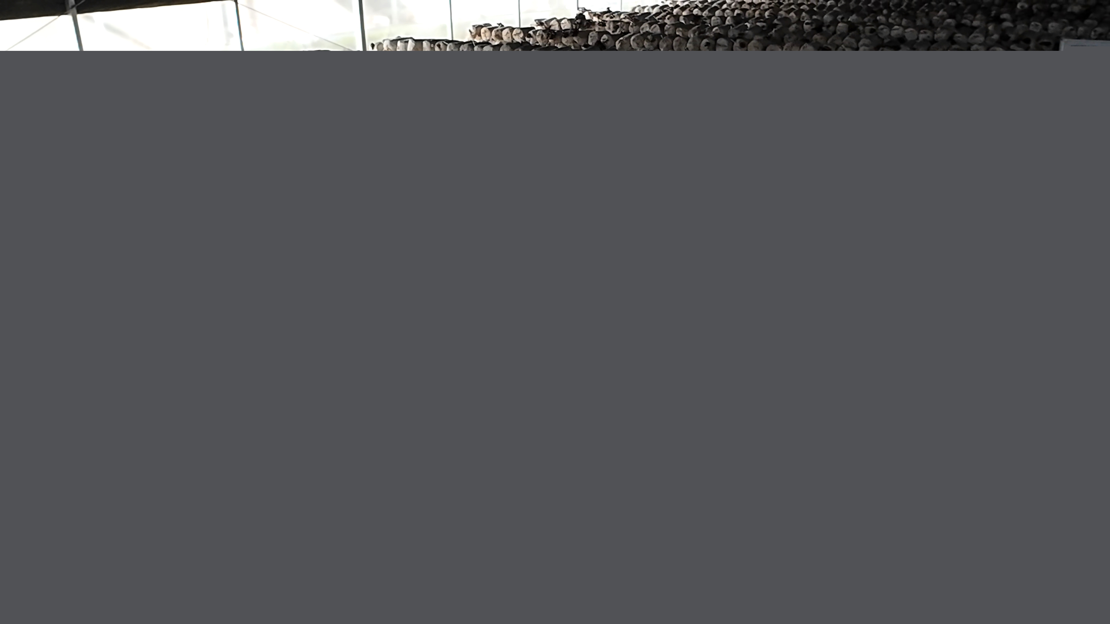 正陽縣熊寨鎮毛集村：菌菇撐起“致富傘” 鄉村綻放“幸?；ā? (1)(3).jpg