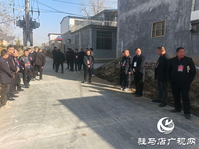  新蔡縣頓崗鄉組織人大代表視察調研道路建設民生實事項目