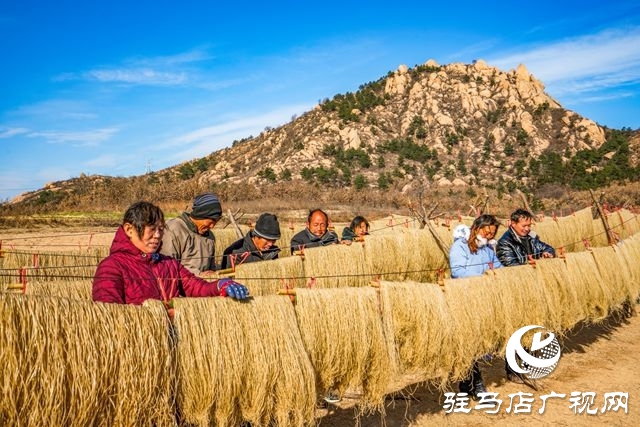 粉條搭起致富橋 &mdash;&mdash;走進駐馬店驛城區板橋鎮口門村黑石山自然村許學用的粉條加工點