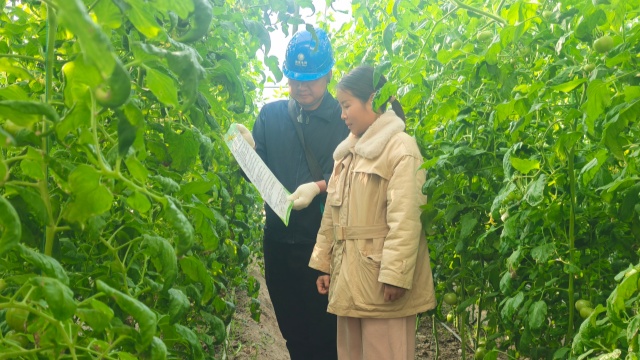 國網新蔡縣供電公司：電力靠前服務守護群眾“菜籃子”