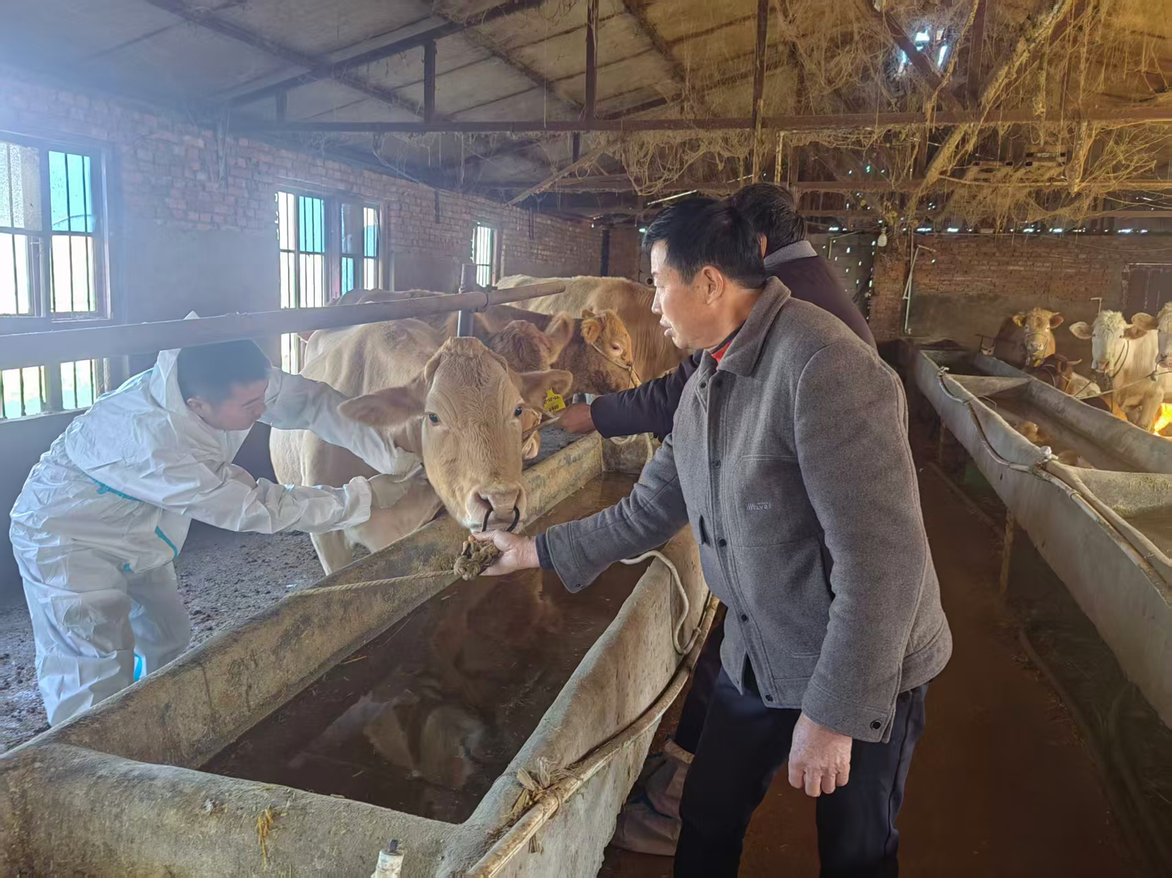 駐馬店市動物疫病防疫檢疫中心發布12月份動物疫病預警預報信息