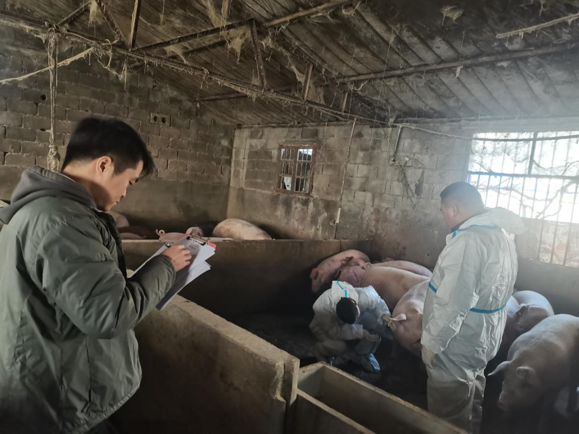 駐馬店市動物疫病防疫檢疫中心發布12月份動物疫病預警預報信息