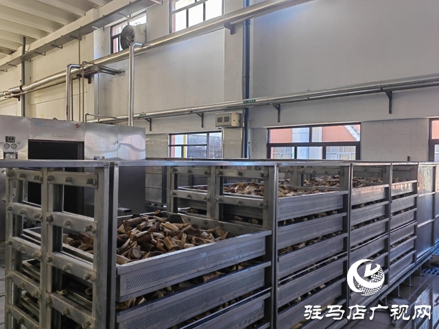 龜鹿藥業吹響年度目標&ldquo;沖鋒號&rdquo;