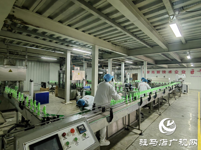 治理現代化 賦能&ldquo;小絲瓜&rdquo; 晨鐘生物繪就鄉村振興&ldquo;新樣本&rdquo;