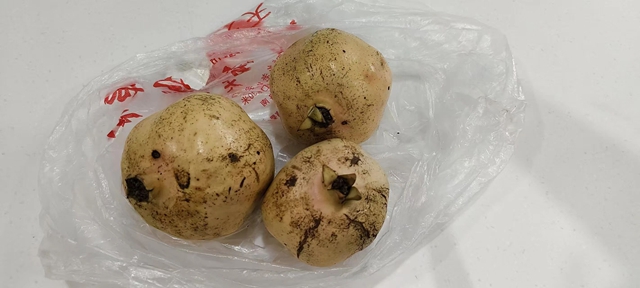 十二載仁心守護,三顆石榴見證醫(yī)患情深