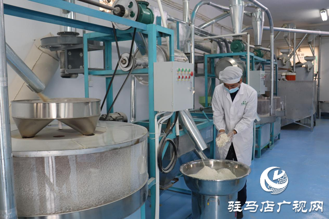 駐馬店市驛城區：石磨轉出新動能 特色產業繪就鄉村振興新圖景