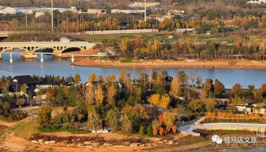 家門口的練江湖,藏著一片會“燃燒”的森林!