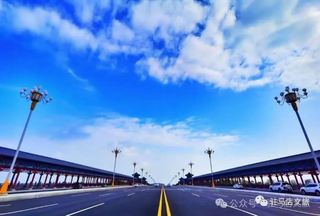 家門口的練江湖,藏著一片會“燃燒”的森林!