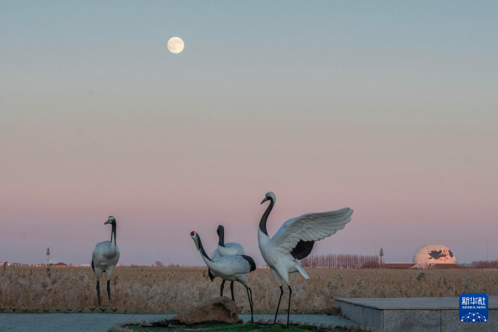 &ldquo;超級月亮&rdquo;亮相天宇