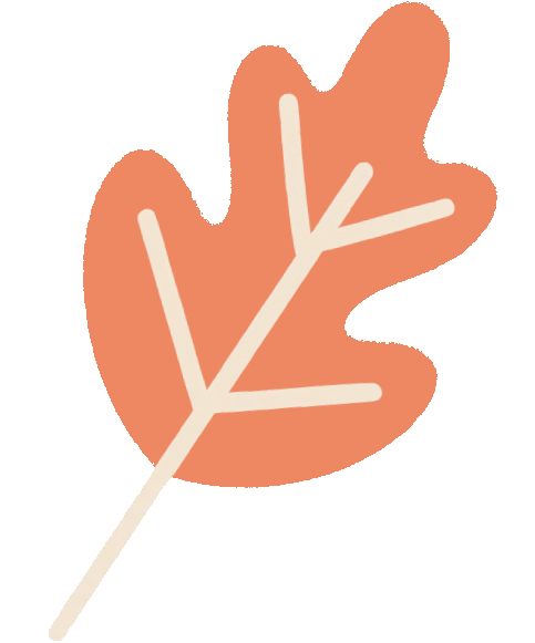 家門口的練江湖,藏著一片會“燃燒”的森林!