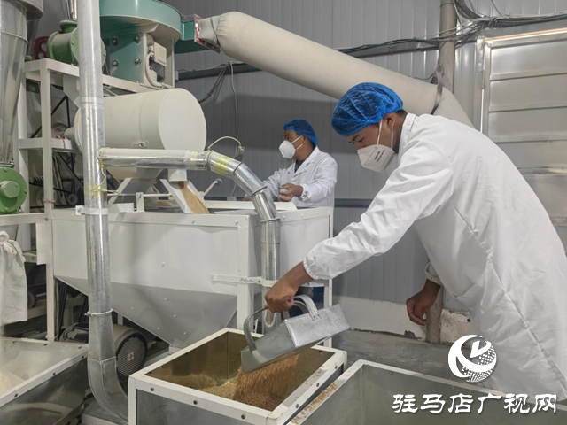 駐馬店市驛城區：石磨轉出新動能 特色產業繪就鄉村振興新圖景