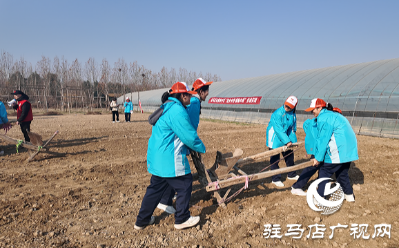 駐馬店市第四中學(xué)開展&ldquo;徒步鄉(xiāng)野 探秘農(nóng)耕，感悟成長&rdquo;研學(xué)活動