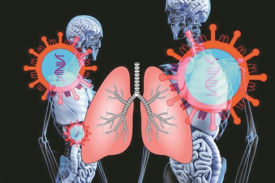 新方法可批量生產微型肺類器官