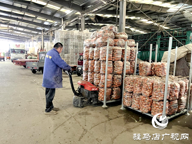 駐馬店市眾信農副產品綜合批發市場：全力應對寒潮天氣 保障冬季蔬菜供應