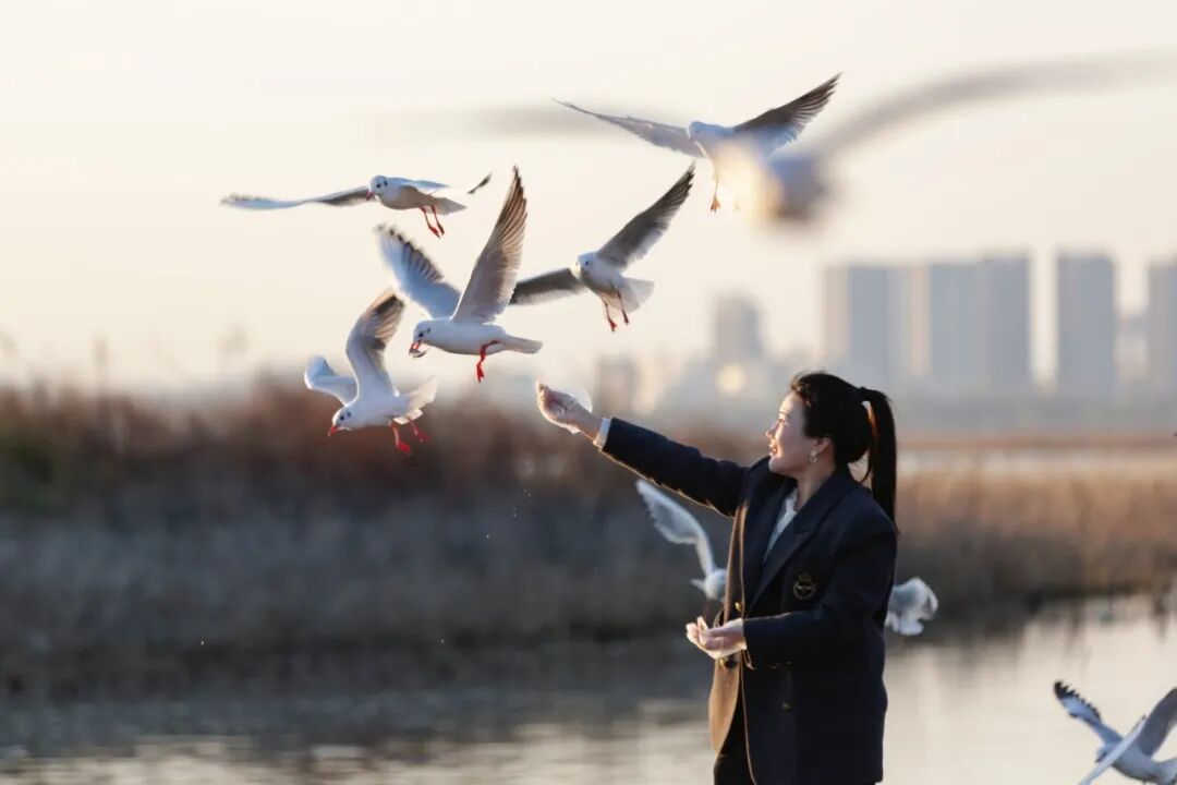 美！河南冬景上新啦