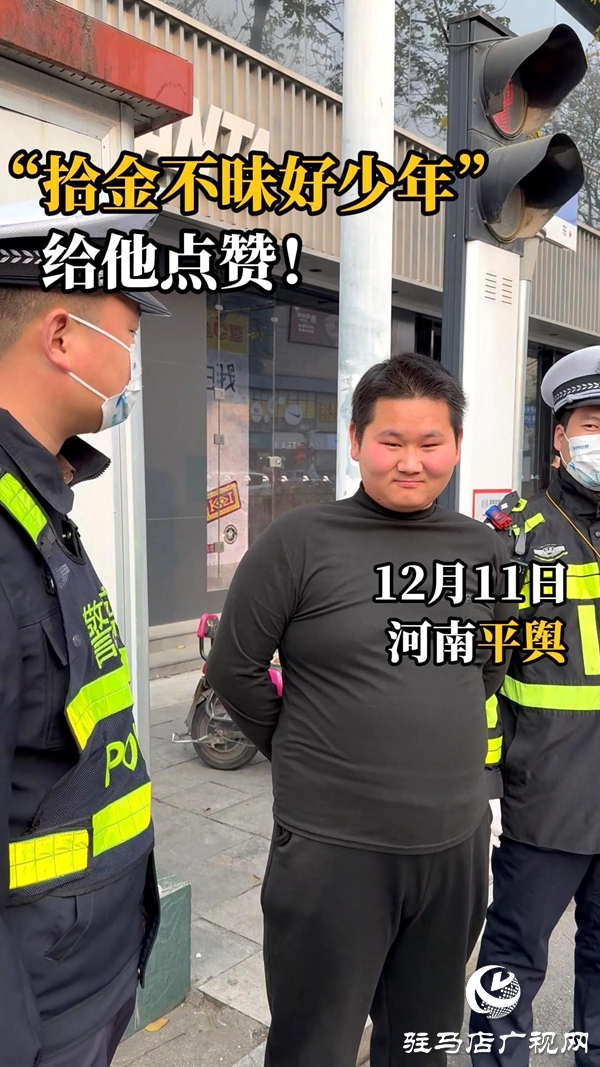 平輿縣：文明之城暖意濃 凡人善舉映初心