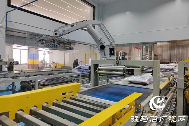 寵世紀寵物食品：全力迎戰“雙十二” 多措并舉沖刺四季度目標